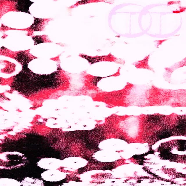 Kalupu